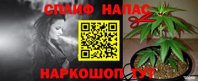 бошки Можга