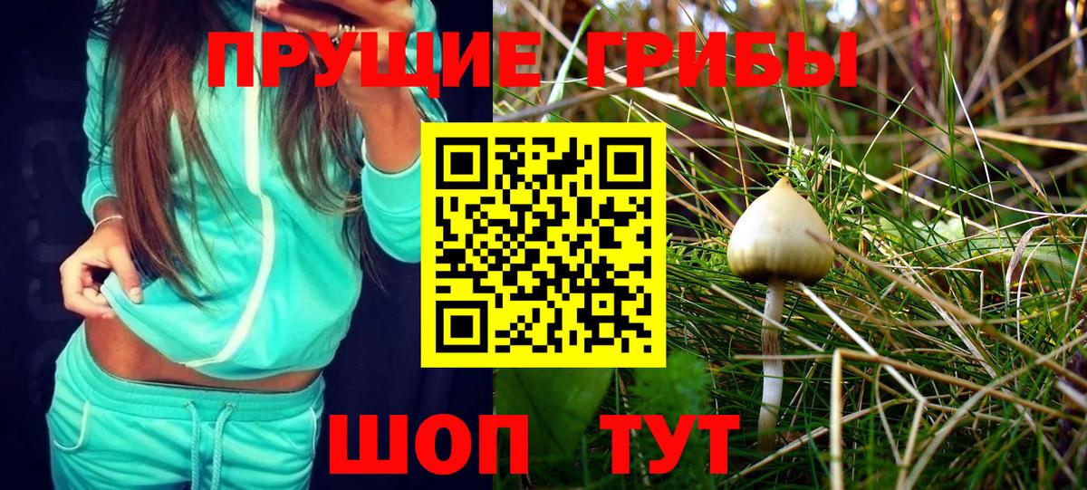 Галлюциногенные грибы MAGIC MUSHROOMS Шахты