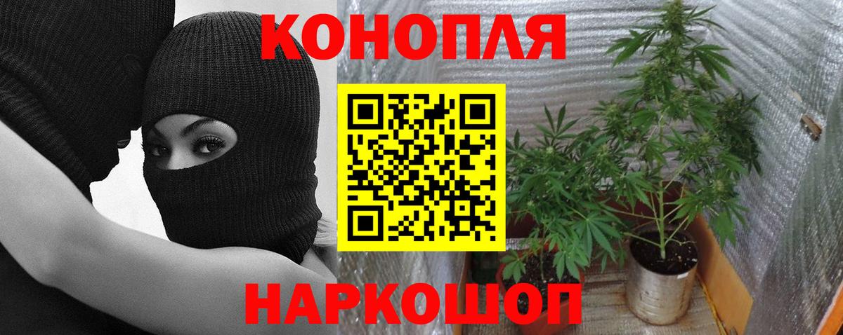 Бошки марихуана MAZAR Шахты